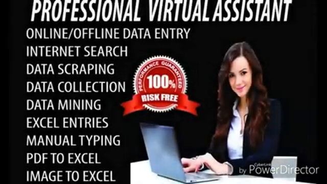 Do data entry of excel, word and wordpress смотреть онлайн