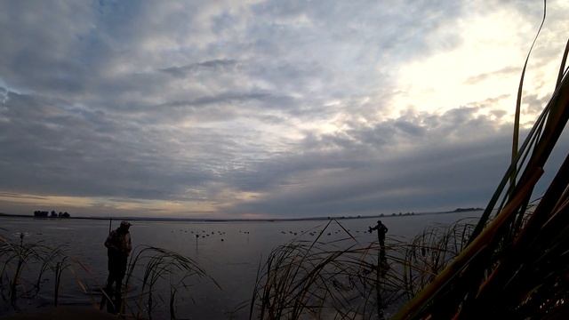 Охота на утку и Гуся. Налеты не заканчиваются . Перелетная утка атакует. Новый скрадок смотреть онлайн