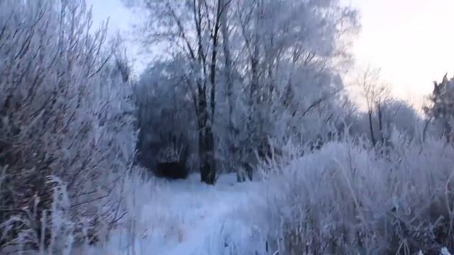 Природа зимой смотреть онлайн