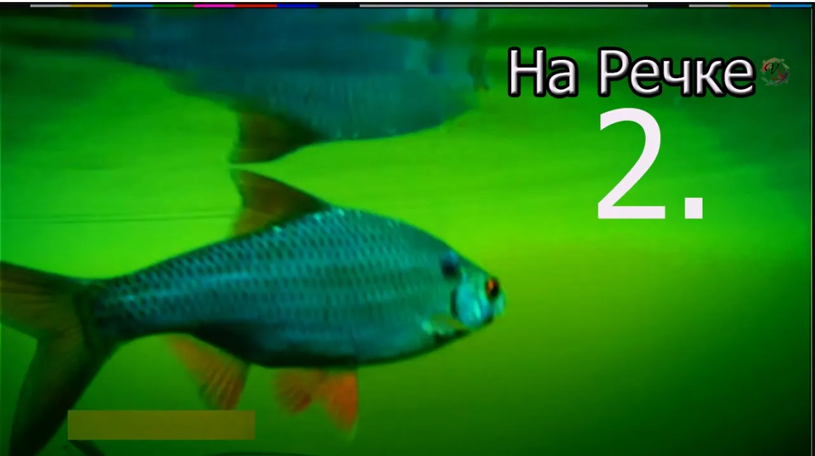 2. Рыбалка на речке на боковой кивок, насадка опарыш, Ловля плотвы, леща, подводная съёмка. Часть 2. смотреть онлайн