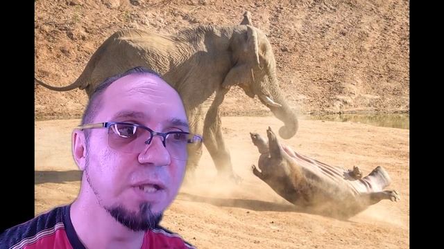 Царь зверей.(написано примерно в 1989г.)