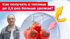 Как получить в теплице ДО 2,5 РАЗ БОЛЬШЕ урожая?