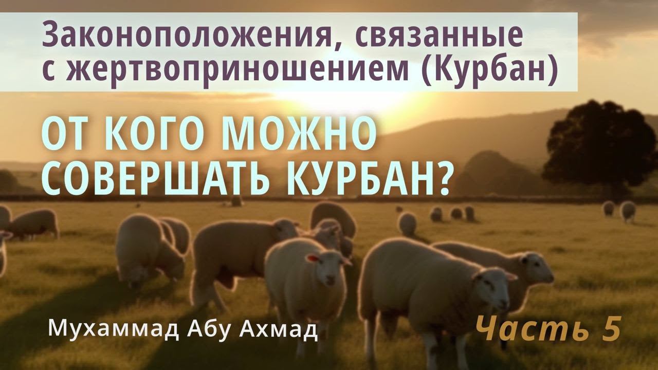 Законоположения Курбана | От кого можно совершать Курбан? смотреть онлайн