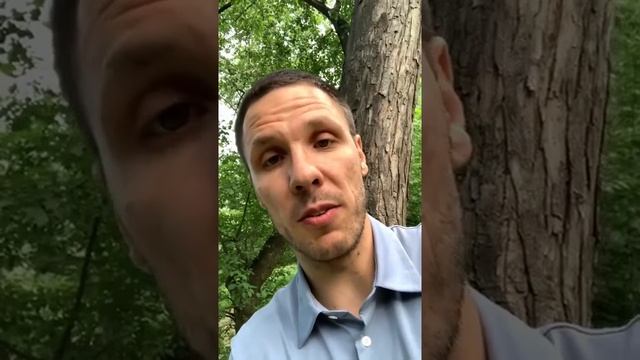 Как Сделать Полезное