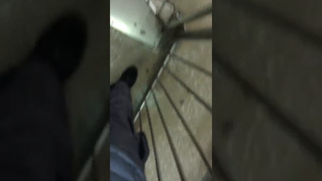 ппс железногорск красноярский край