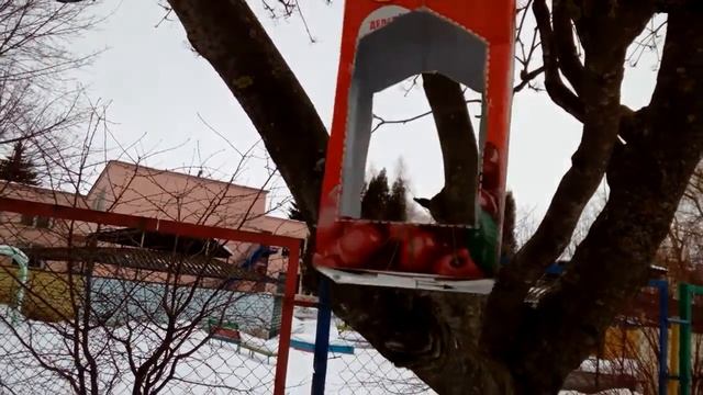 Кормушка для птиц из пустого пакета. Лайфхак.A bird feeder from an empty package.Lifehack смотреть онлайн
