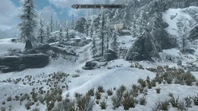 The Elder Scrolls V: Skyrim: Quick $1000 Coin! 