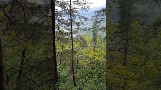 Поездка в Адыгею / Хамышки / Рафтинг / конные прогулки / гора Монах / Даховская смотреть онлайн