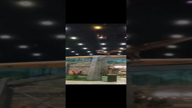 остров мечты советую. смотреть онлайн
