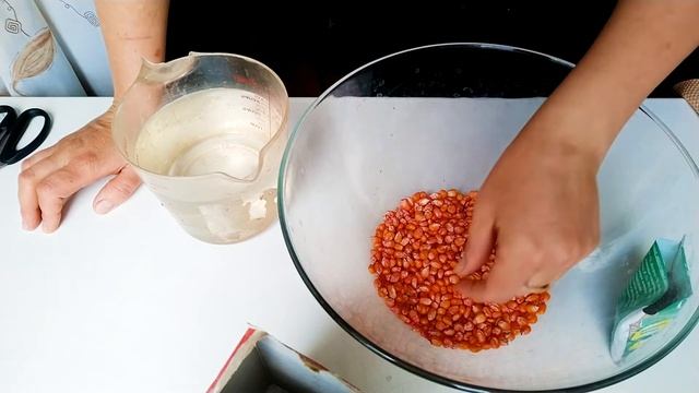 Нужно ли замачивать кукурузу перед посадкой смотреть онлайн