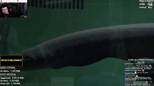 Hellyeahplay смотрит: Версус! На что способен электрический угорь. Угорь в деле!