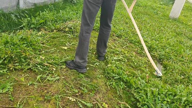 Кованая ручная коса Falci-126(Италия) 75см. Косовище деревянное Fux(Австрия). Scythe. смотреть онлайн