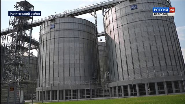 Вячеслав Гладков посетил Белгородский экспериментальный завод рыбных комбикормов смотреть онлайн