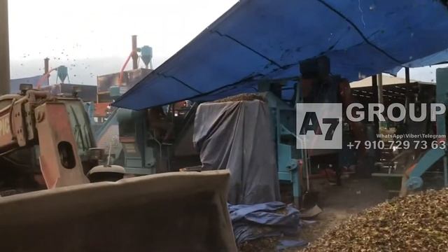 Агрегат очистки фундука и всех видов лесных орехов от шелухи. Производит-ть 2000–4000 кг/ч (часть2) смотреть онлайн