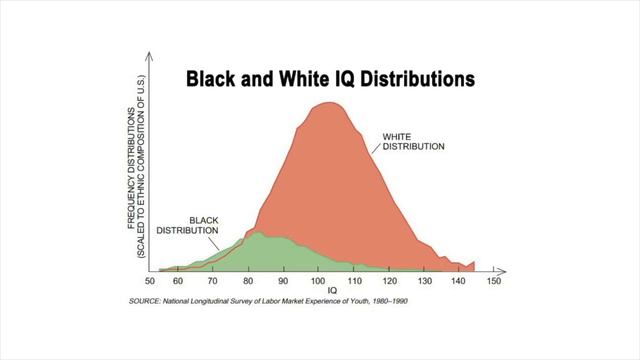 Jared Taylor Interviews A Black Man On Race Realism смотреть онлайн
