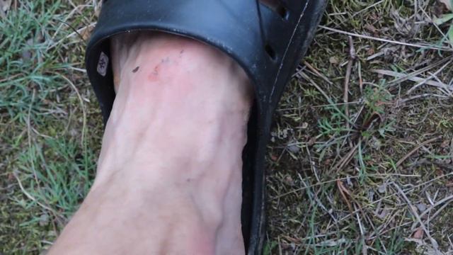 РЕАЛЬНО ЛИ ПРОБЕЖАТЬ МАРАФОН В ТАПКАХ??! | 42 километра страданий #марафон #трейл #ковкель смотреть онлайн