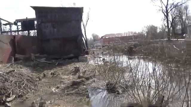 Природная мудрость! смотреть онлайн