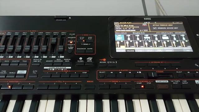 New Style Korg pa4x - Eye In Sky Pop - Live Record смотреть онлайн