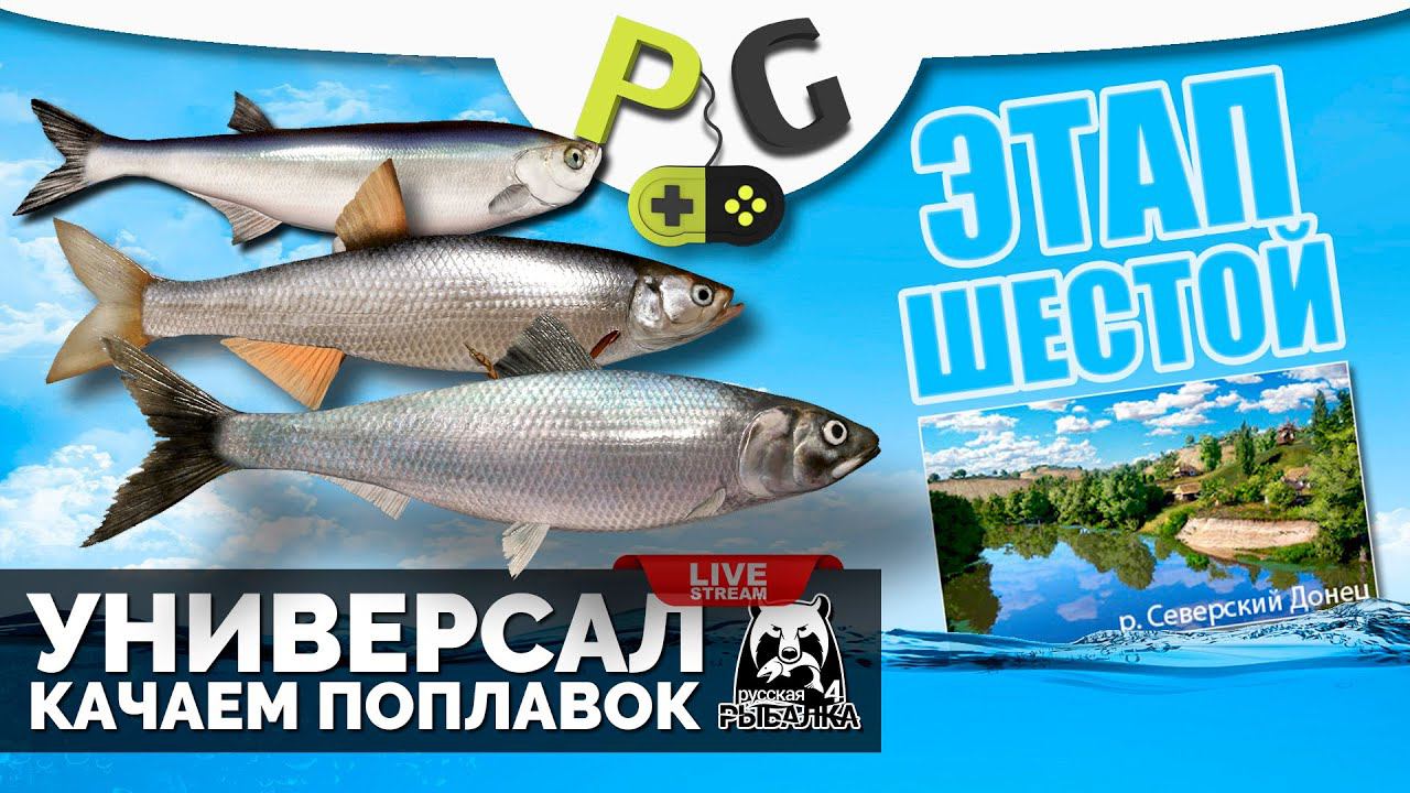 Русская Рыбалка 4 - Стрим Прокачка УНИВЕРСАЛА для 6-го этапа Стрим #6 Качаем поплавок и фармим смотреть онлайн