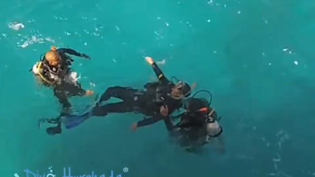 PADI Open Water Diver Course in Hurghada, Red Sea, Egypt Dive Hurghada com смотреть онлайн