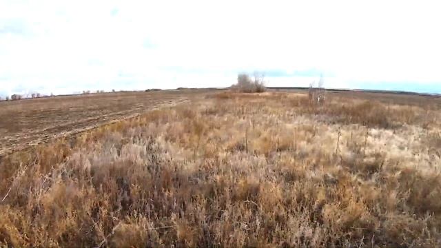 ЗАЯЦ РУСАК - ОХОТА! Вытоптать и добыть! смотреть онлайн