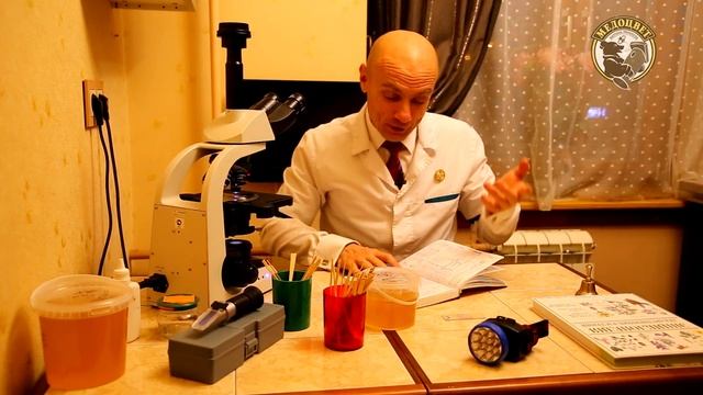 Какой Мёд самый лучший Что за Мёд победил Какой он Мёд победитель смотреть онлайн