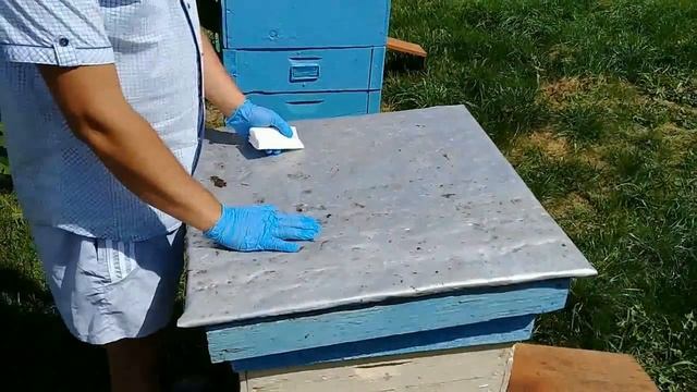 ?Самая главная обработка пчел от клеща! Вторая летняя обработка от варроатоза и акарапидоза смотреть онлайн