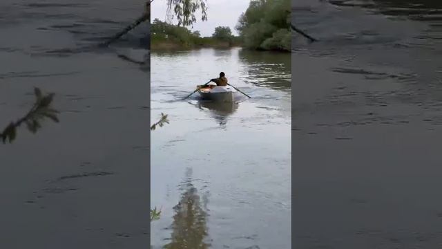 Против течения Кубани смотреть онлайн