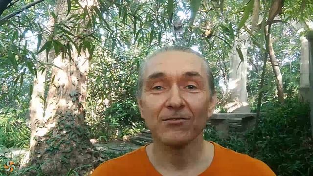 Руны / Чем они могут помочь здоровью человека смотреть онлайн