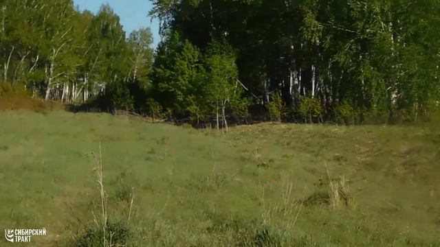 Часть 6. Барабинская степь смотреть онлайн