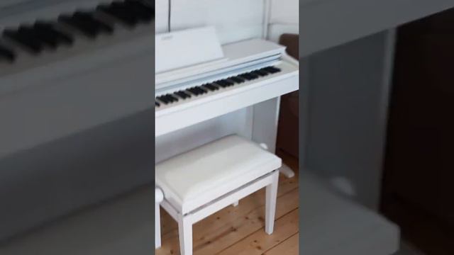 Casio Celviano AP-270