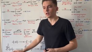 Цикл Кребса: 1-4 реакции