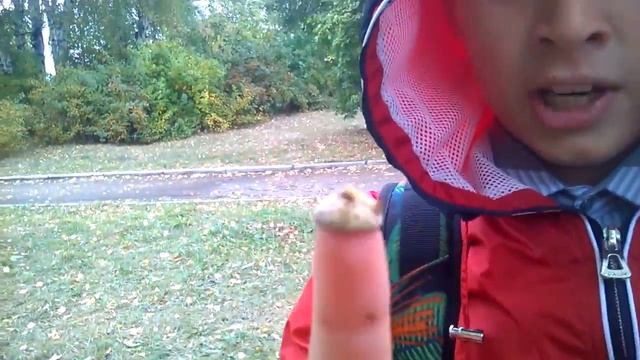 как собирать жолуди в лесу....:P смотреть онлайн