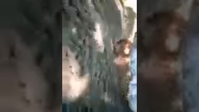 Поиск кладов. Без металлоискателя!