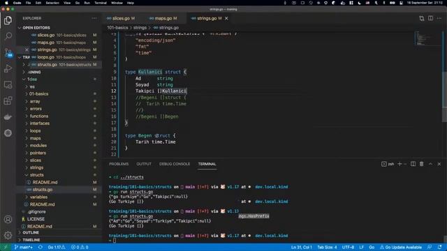 Go Eğitim Kampı - 101 - Go Basics смотреть онлайн