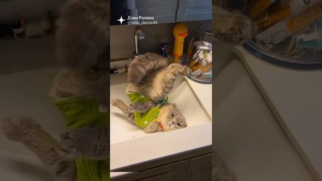 доброе утро начинается

не с кофе