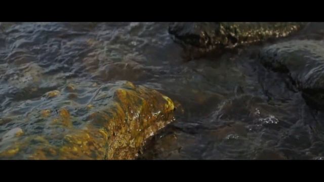 Canon EOS 70D Cinematic B roll | 60fps | Bluffers Park смотреть онлайн