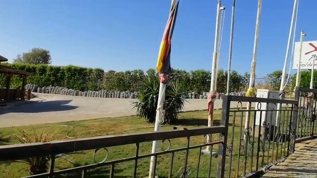 Шарм эль Шейх онлайн. Приехали ли туристы? смотреть онлайн