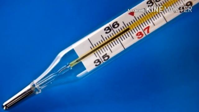 Что будет,Если Разбить Ртутный Градусник? смотреть онлайн