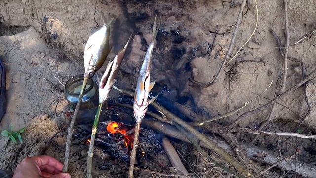 Как ВЫЖИТЬ В РОССИИ МЕСЯЦ на 0 РУБ ? РЫБАЛКА с ДИКОГО ОСТРОВА. Дни 14 - 16 смотреть онлайн