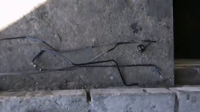 Дом, наполненный идеями и вдохновением