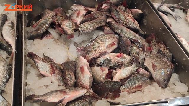 Креветки и другое рыбное изобилие в магазинах Шарим-Эль-Шейха (Египет)