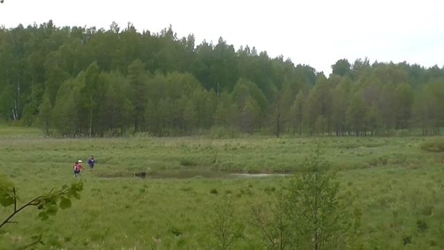 Родные места Видеозарисовка смотреть онлайн