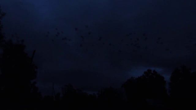 DSCN1235 смотреть онлайн