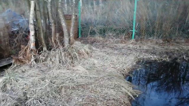 В моей жизни есть всё! И огород, и дети, мономакр и абьюзер! Живём дальше! смотреть онлайн