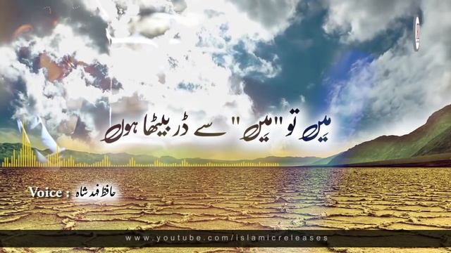Maula Ye Kia Kar Betha Hun, Lyrical Video, Hafiz Fahad Shah New Kalaam Released, Islamic Releases смотреть онлайн