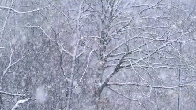 The Christmas Waltz for violin and piano | First snow! С первым снегом! смотреть онлайн