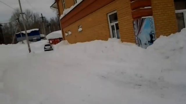 змеиногорск 24.01.2020 смотреть онлайн