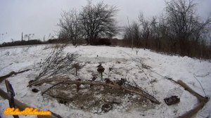 Ловля певчих птиц на тайник. 2022