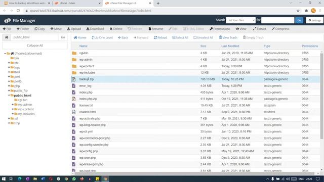 How to backup WordPress Website Manually | Backup WordPress website without any plugin смотреть онлайн